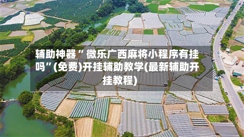 辅助神器“ 微乐广西麻将小程序有挂吗”(免费)开挂辅助教学(最新辅助开挂教程)-第2张图片