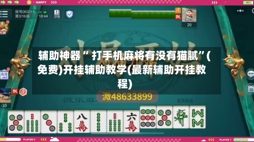 辅助神器“ 打手机麻将有没有猫腻”(免费)开挂辅助教学(最新辅助开挂教程)