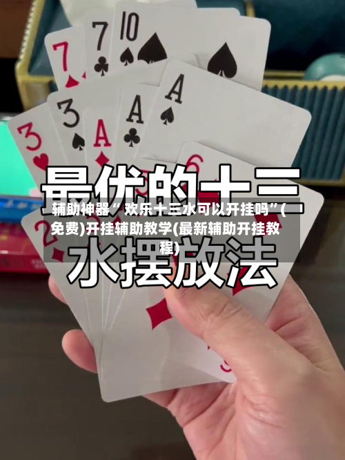 辅助神器“ 欢乐十三水可以开挂吗”(免费)开挂辅助教学(最新辅助开挂教程)-第2张图片