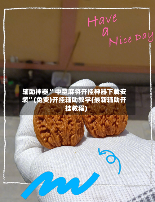 辅助神器“ 中至麻将开挂神器下载安装”(免费)开挂辅助教学(最新辅助开挂教程)-第2张图片