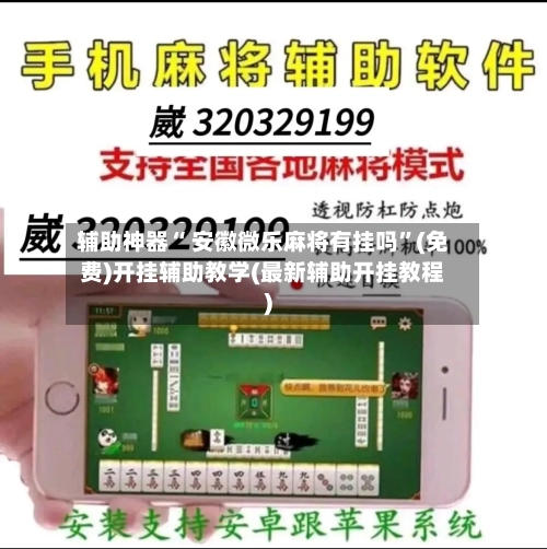 辅助神器“ 安徽微乐麻将有挂吗”(免费)开挂辅助教学(最新辅助开挂教程)-第3张图片