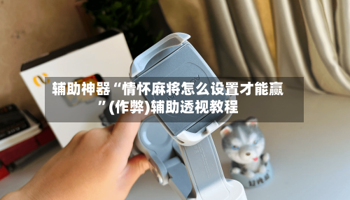辅助神器“情怀麻将怎么设置才能赢”(作弊)辅助透视教程-第3张图片