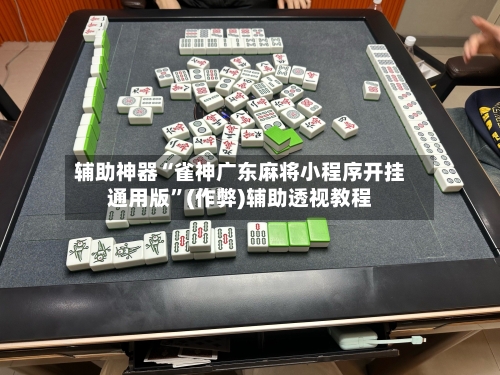 辅助神器“雀神广东麻将小程序开挂通用版”(作弊)辅助透视教程-第2张图片