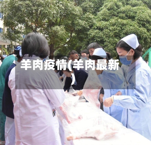 羊肉疫情(羊肉最新)