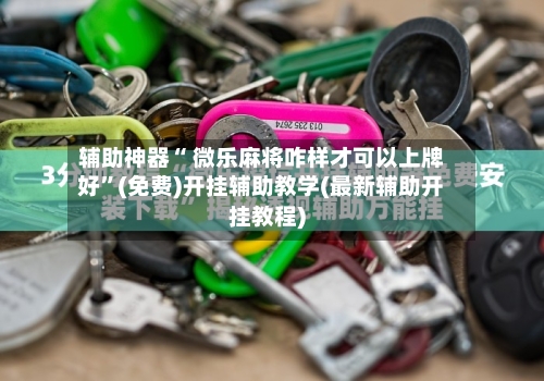 辅助神器“ 微乐麻将咋样才可以上牌好”(免费)开挂辅助教学(最新辅助开挂教程)-第3张图片