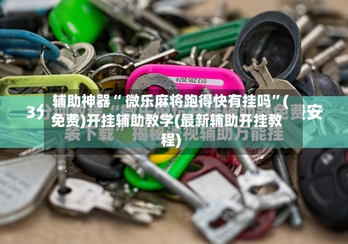辅助神器“ 微乐麻将跑得快有挂吗”(免费)开挂辅助教学(最新辅助开挂教程)-第2张图片