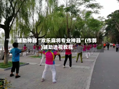 辅助神器“欢乐麻将专业神器”(作弊)辅助透视教程-第2张图片