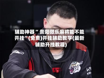 辅助神器“ 贵阳微乐麻将能不能开挂”(免费)开挂辅助教学(最新辅助开挂教程)