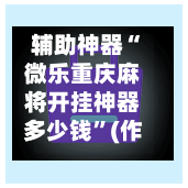 辅助神器“微乐重庆麻将开挂神器多少钱	”(作弊)辅助透视教程-第3张图片
