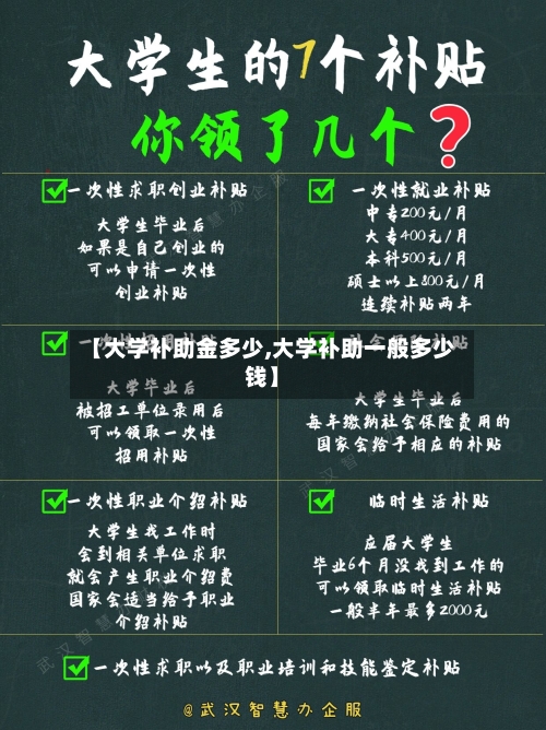 【大学补助金多少,大学补助一般多少钱】