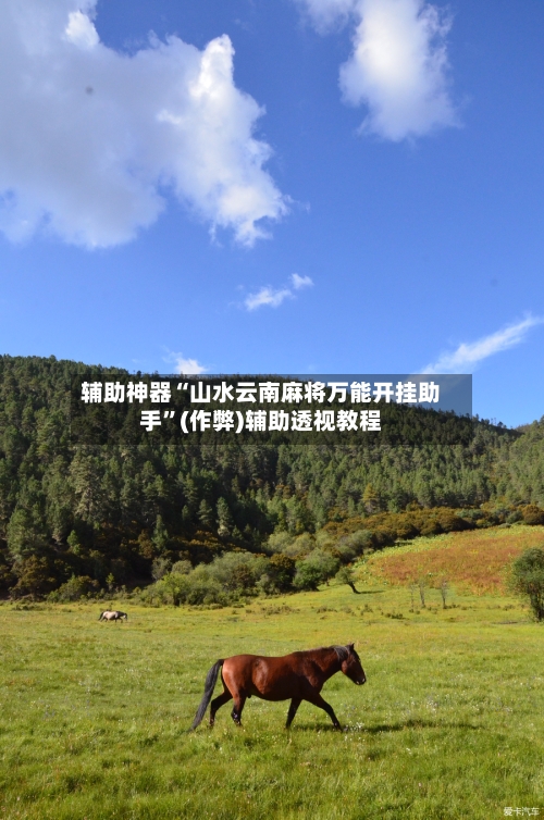 辅助神器“山水云南麻将万能开挂助手”(作弊)辅助透视教程-第2张图片