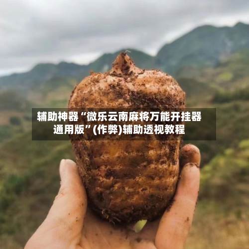 辅助神器“微乐云南麻将万能开挂器通用版	”(作弊)辅助透视教程-第2张图片