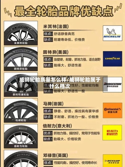 威狮轮胎质量怎么样/威狮轮胎属于什么档次-第3张图片