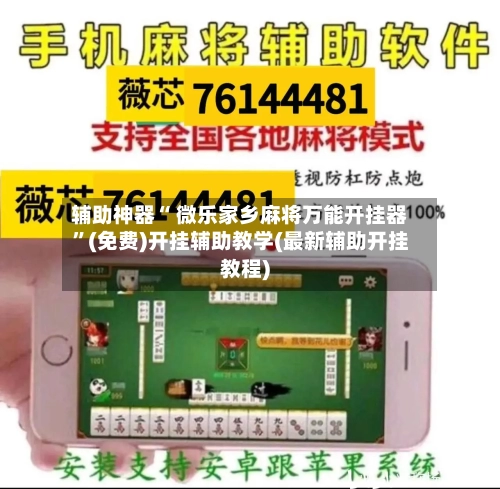 辅助神器“ 微乐家乡麻将万能开挂器”(免费)开挂辅助教学(最新辅助开挂教程)-第2张图片