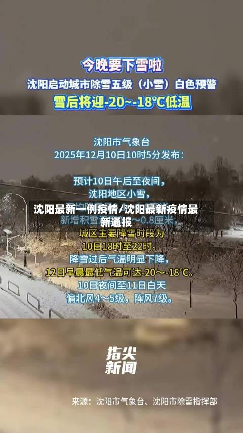 沈阳最新一例疫情/沈阳最新疫情最新通报-第2张图片