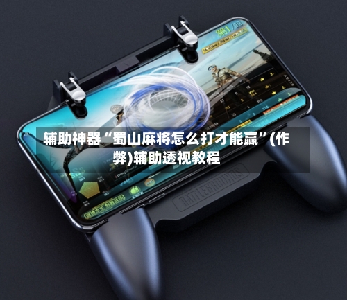辅助神器“蜀山麻将怎么打才能赢”(作弊)辅助透视教程-第2张图片