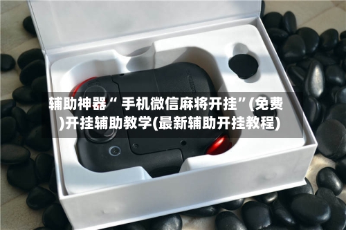 辅助神器“ 手机微信麻将开挂”(免费)开挂辅助教学(最新辅助开挂教程)-第3张图片
