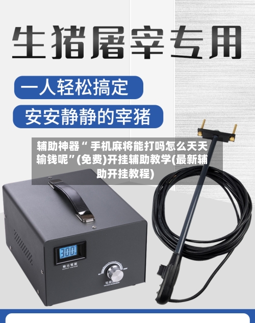 辅助神器“ 手机麻将能打吗怎么天天输钱呢”(免费)开挂辅助教学(最新辅助开挂教程)-第3张图片