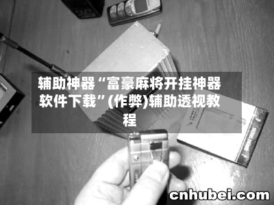 辅助神器“富豪麻将开挂神器软件下载”(作弊)辅助透视教程