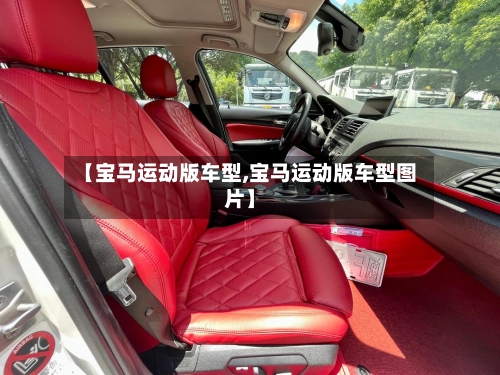 【宝马运动版车型,宝马运动版车型图片】-第3张图片