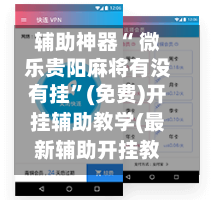 辅助神器“ 微乐贵阳麻将有没有挂”(免费)开挂辅助教学(最新辅助开挂教程)-第3张图片