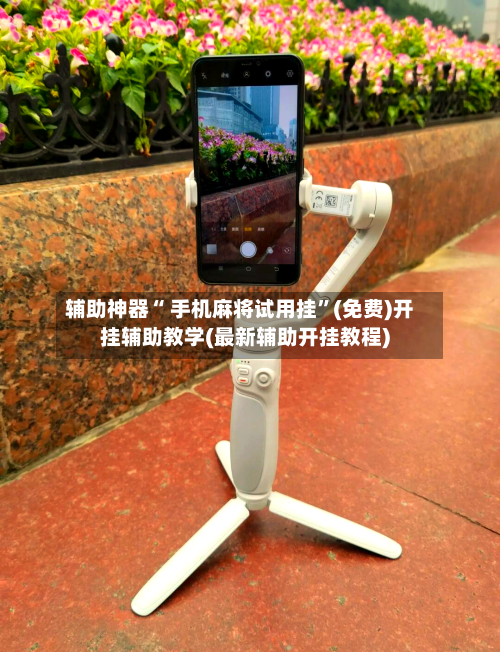 辅助神器“ 手机麻将试用挂”(免费)开挂辅助教学(最新辅助开挂教程)-第2张图片