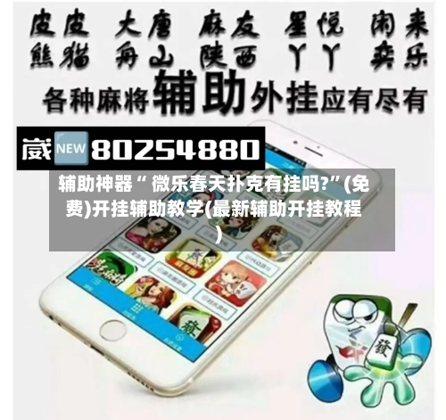 辅助神器“ 微乐春天扑克有挂吗?	”(免费)开挂辅助教学(最新辅助开挂教程)-第3张图片