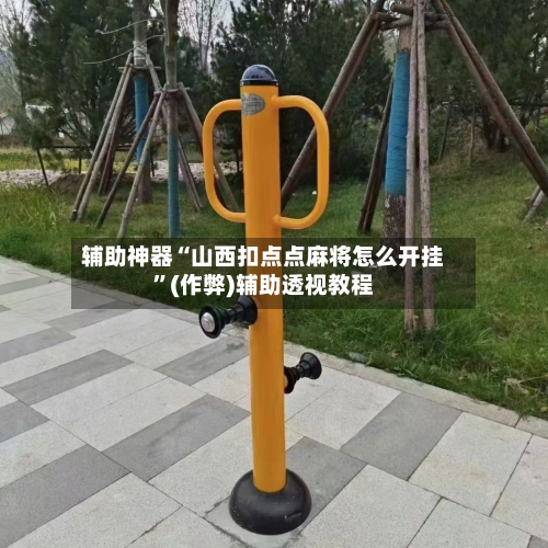 辅助神器“山西扣点点麻将怎么开挂	”(作弊)辅助透视教程-第3张图片