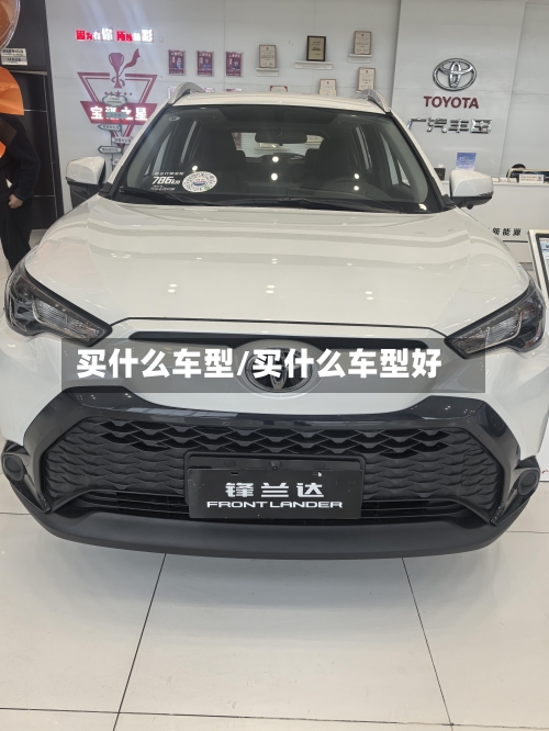 买什么车型/买什么车型好