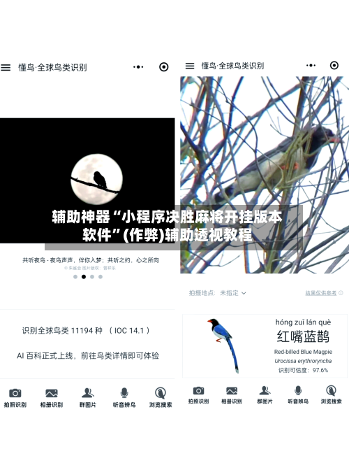 辅助神器“小程序决胜麻将开挂版本软件”(作弊)辅助透视教程-第2张图片