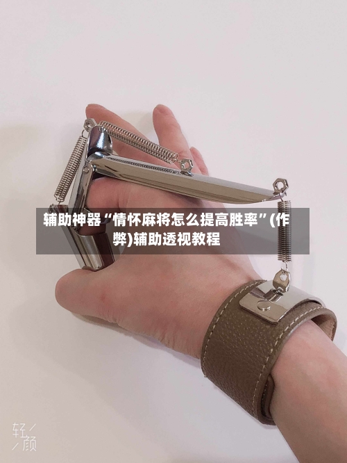 辅助神器“情怀麻将怎么提高胜率”(作弊)辅助透视教程-第2张图片