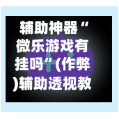 辅助神器“微乐游戏有挂吗”(作弊)辅助透视教程-第2张图片