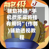 辅助神器“手机微乐麻将挂有用吗”(作弊)辅助透视教程-第3张图片