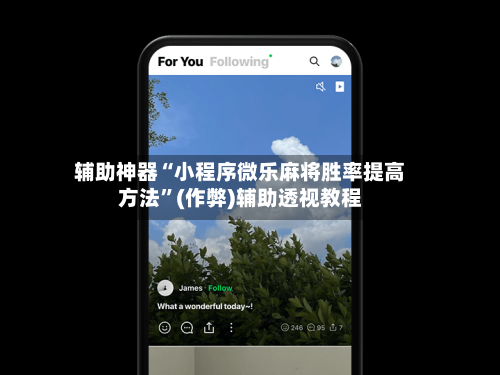 辅助神器“小程序微乐麻将胜率提高方法”(作弊)辅助透视教程-第2张图片