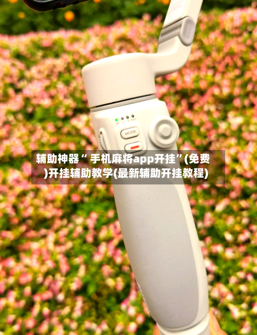 辅助神器“ 手机麻将app开挂	”(免费)开挂辅助教学(最新辅助开挂教程)-第2张图片