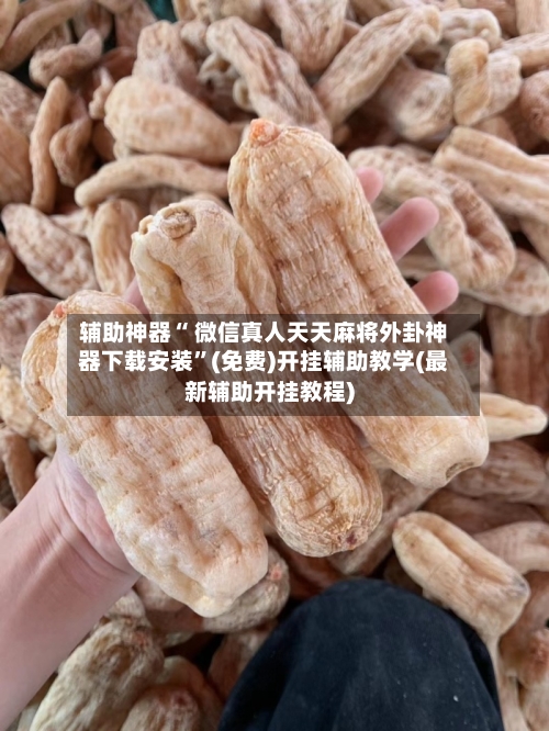 辅助神器“ 微信真人天天麻将外卦神器下载安装”(免费)开挂辅助教学(最新辅助开挂教程)-第2张图片