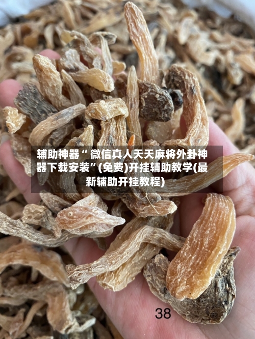 辅助神器“ 微信真人天天麻将外卦神器下载安装”(免费)开挂辅助教学(最新辅助开挂教程)-第3张图片