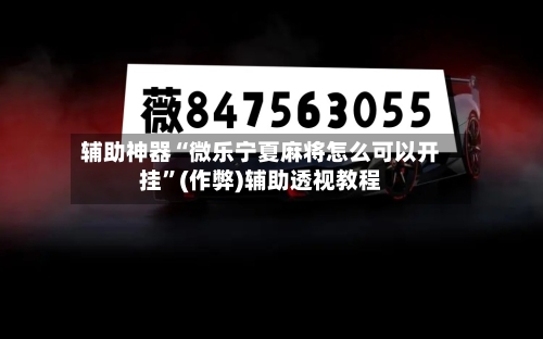 辅助神器“微乐宁夏麻将怎么可以开挂”(作弊)辅助透视教程-第2张图片
