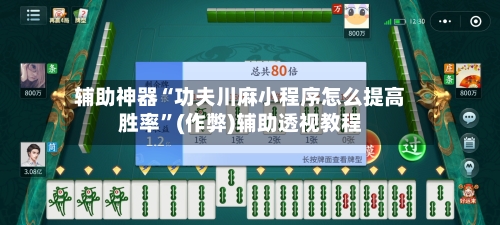 辅助神器“功夫川麻小程序怎么提高胜率”(作弊)辅助透视教程-第3张图片