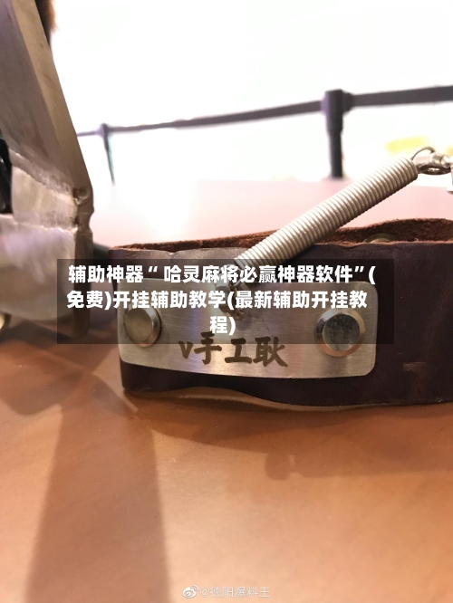辅助神器“ 哈灵麻将必赢神器软件	”(免费)开挂辅助教学(最新辅助开挂教程)-第2张图片
