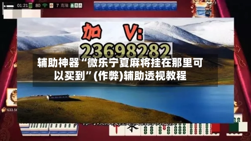 辅助神器“微乐宁夏麻将挂在那里可以买到”(作弊)辅助透视教程-第2张图片