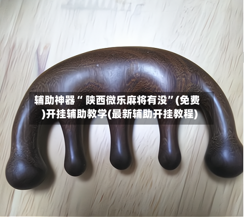 辅助神器“ 陕西微乐麻将有没”(免费)开挂辅助教学(最新辅助开挂教程)-第2张图片
