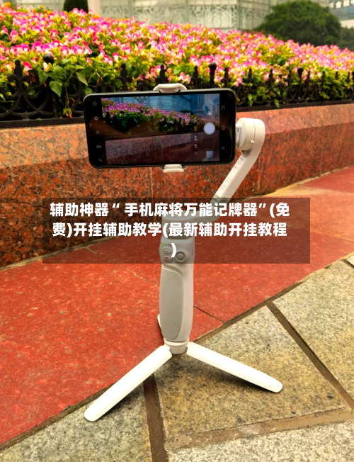 辅助神器“ 手机麻将万能记牌器”(免费)开挂辅助教学(最新辅助开挂教程)-第2张图片