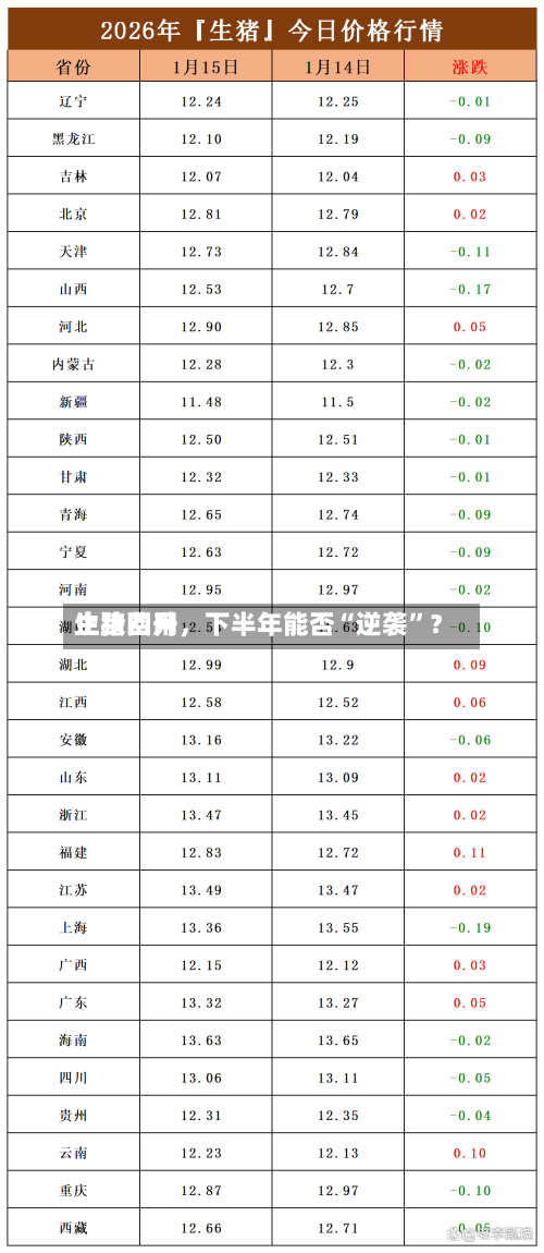 生猪费用止跌回升，下半年能否“逆袭	”？-第2张图片