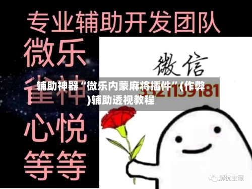 辅助神器“微乐内蒙麻将插件”(作弊)辅助透视教程-第3张图片