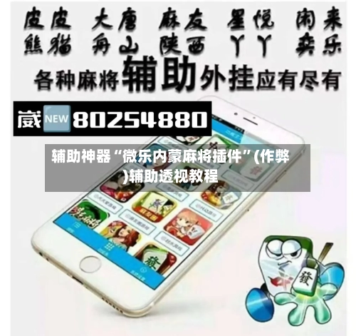 辅助神器“微乐内蒙麻将插件	”(作弊)辅助透视教程-第2张图片