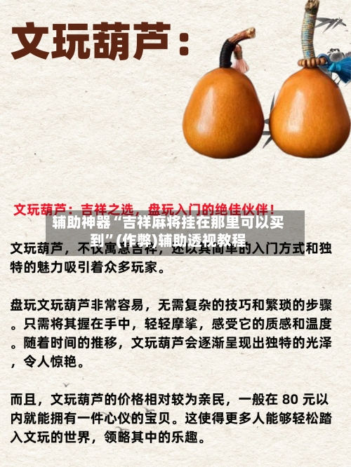 辅助神器“吉祥麻将挂在那里可以买到”(作弊)辅助透视教程-第3张图片