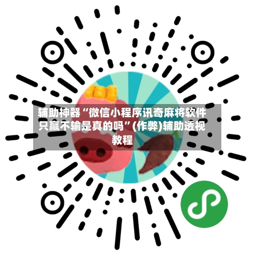辅助神器“微信小程序讯奇麻将软件只赢不输是真的吗”(作弊)辅助透视教程-第2张图片
