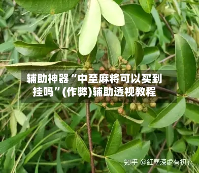 辅助神器“中至麻将可以买到挂吗”(作弊)辅助透视教程-第2张图片