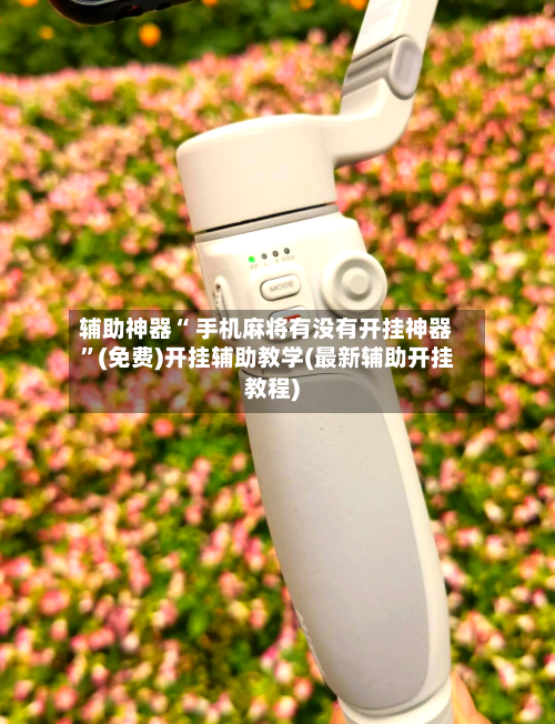 辅助神器“ 手机麻将有没有开挂神器”(免费)开挂辅助教学(最新辅助开挂教程)-第2张图片